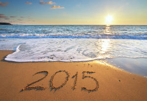 2015 year on the sea shore. Element of design.
